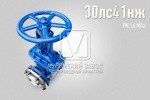Задвижка стальная клиновая литая ДУ50  PN1,6 МПА 30с41нж Класс 
